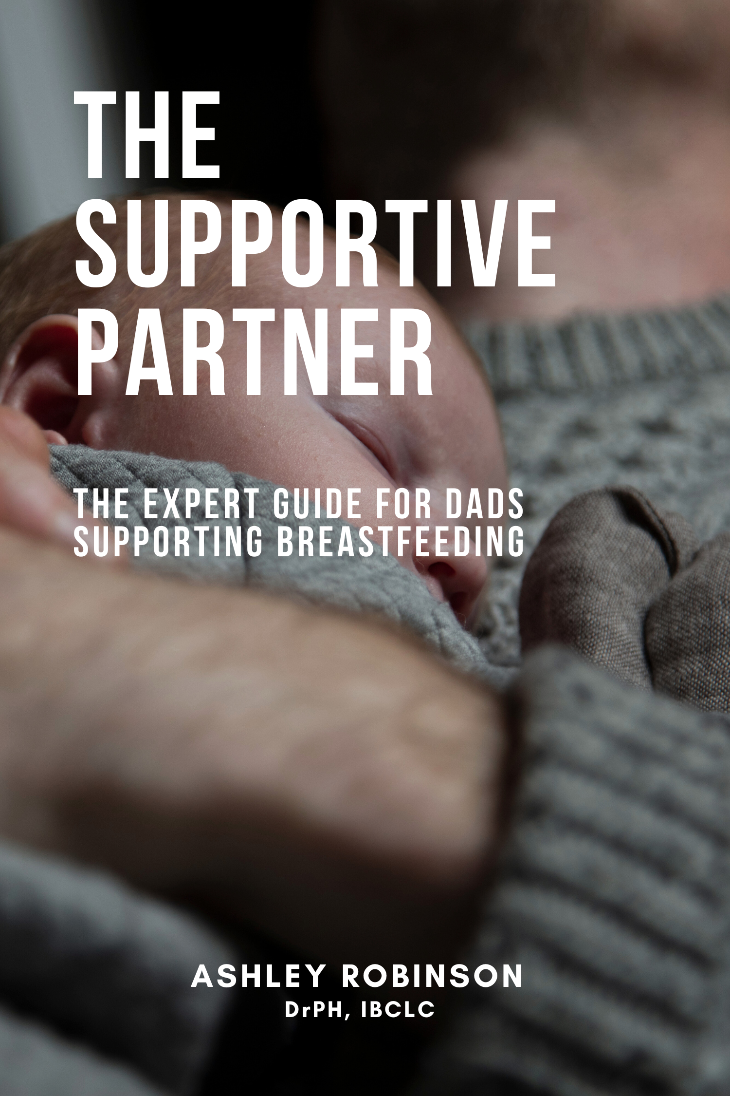 The Supportive Partner book cover by Ashley Robinson DrPH IBCLC